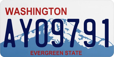 WA license plate AYO9791