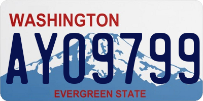 WA license plate AYO9799