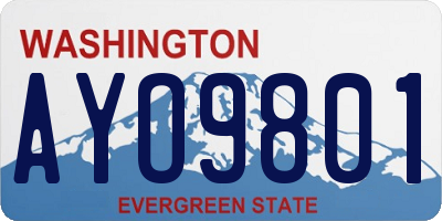 WA license plate AYO9801
