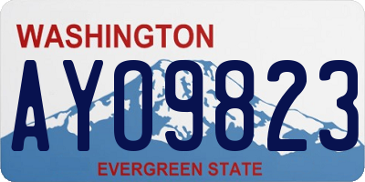 WA license plate AYO9823