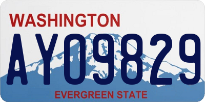 WA license plate AYO9829