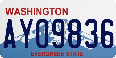 WA license plate AYO9836