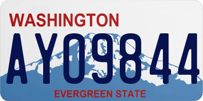 WA license plate AYO9844
