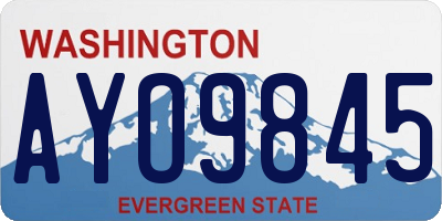 WA license plate AYO9845