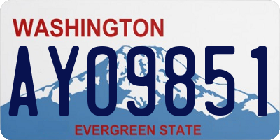 WA license plate AYO9851