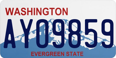 WA license plate AYO9859