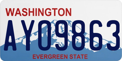 WA license plate AYO9863