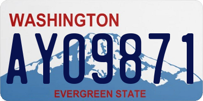 WA license plate AYO9871