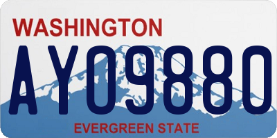WA license plate AYO9880