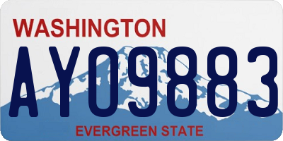 WA license plate AYO9883