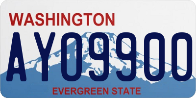 WA license plate AYO9900