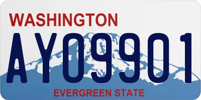WA license plate AYO9901