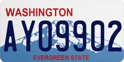 WA license plate AYO9902