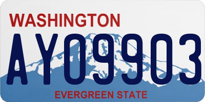WA license plate AYO9903