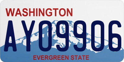 WA license plate AYO9906