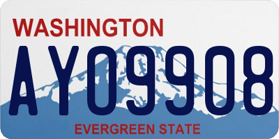 WA license plate AYO9908