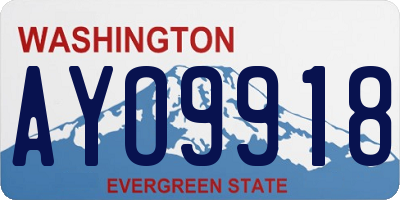 WA license plate AYO9918