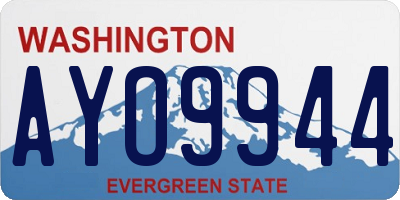 WA license plate AYO9944