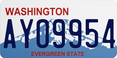 WA license plate AYO9954