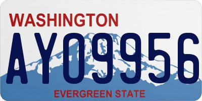 WA license plate AYO9956