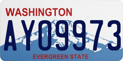 WA license plate AYO9973