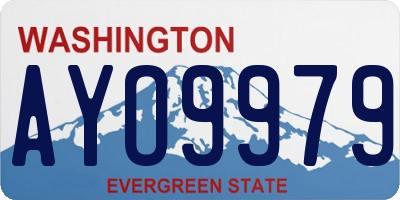 WA license plate AYO9979