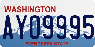 WA license plate AYO9995