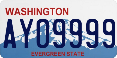 WA license plate AYO9999