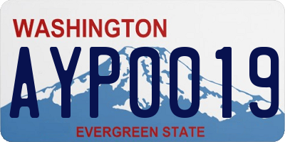 WA license plate AYP0019