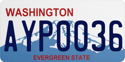WA license plate AYP0036