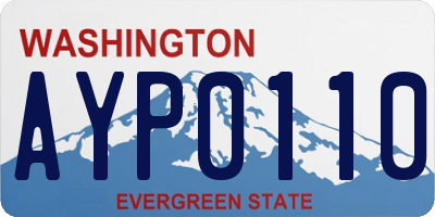 WA license plate AYP0110