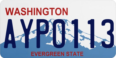 WA license plate AYP0113