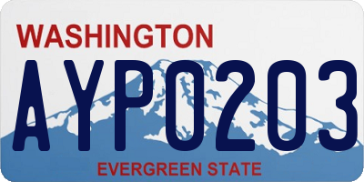 WA license plate AYP0203