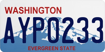 WA license plate AYP0233