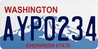 WA license plate AYP0234