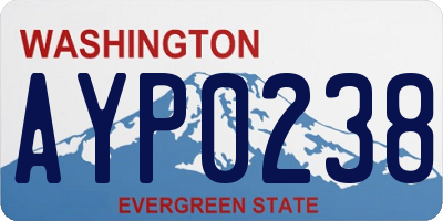 WA license plate AYP0238