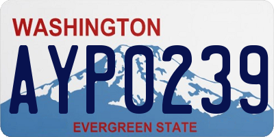 WA license plate AYP0239