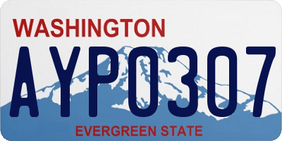 WA license plate AYP0307
