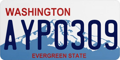 WA license plate AYP0309