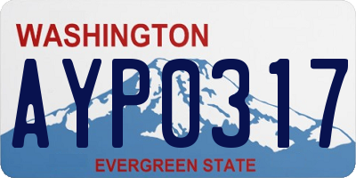 WA license plate AYP0317