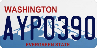 WA license plate AYP0390
