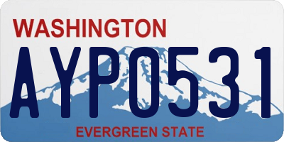 WA license plate AYP0531