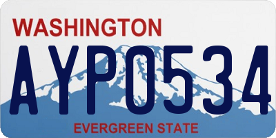 WA license plate AYP0534