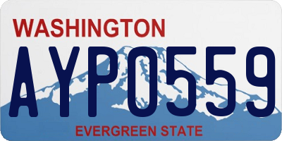 WA license plate AYP0559