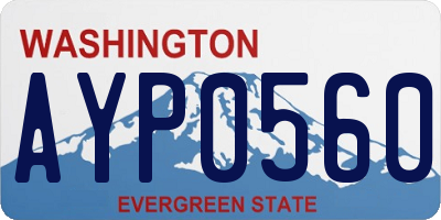WA license plate AYP0560