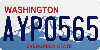 WA license plate AYP0565