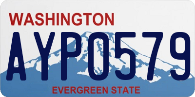 WA license plate AYP0579