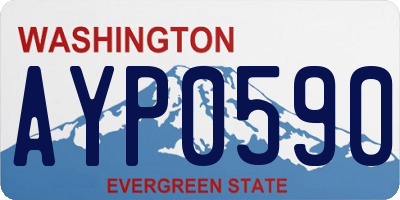WA license plate AYP0590
