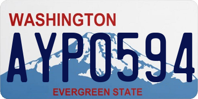 WA license plate AYP0594