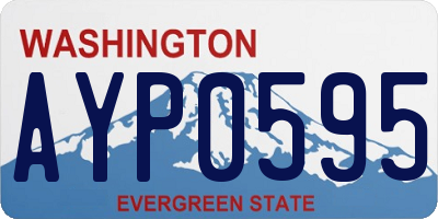 WA license plate AYP0595